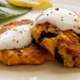 Fried Salmon Cakes